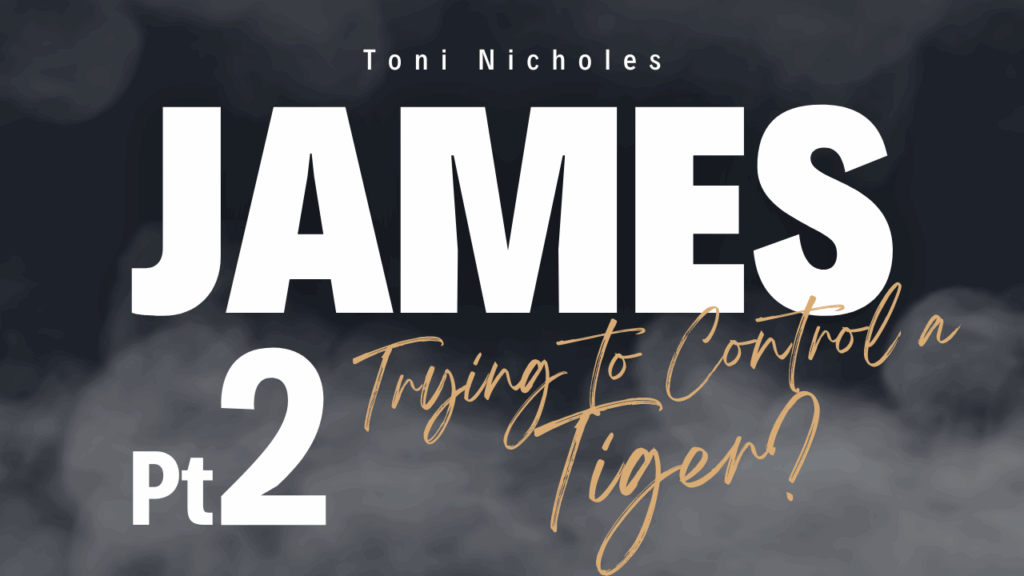 Trying to Control a Tiger